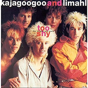 Too Shy: The Singles and More