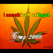 Crap 2008