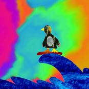 Burn Bright in Times of Darkness