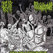 Rancid Aroma of Nauseating Phlegm split cd SmallPox Aroma/Phlegm Thrower