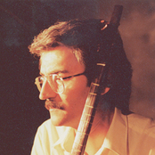 kamil alipour