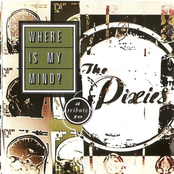 Where Is My Mind?: A Tribute To The Pixies