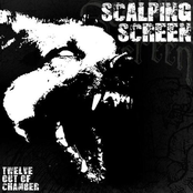 Turning Point by Scalping Screen