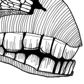 Ensaios 1º Semestre/2006