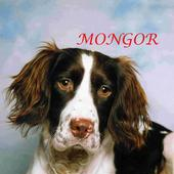 super sonic sound burgers