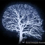 Конструкция плоти (Single)