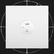 Where Do We Go From Here?