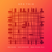 NPO Trio Live At The Stone