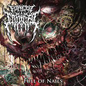 Full Of Nails
