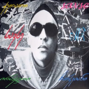 vitsi rom (Radio Edit)