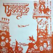 Bosporus Bridges: A Wide Selection Of Turkish Jazz And Funk