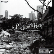 A Pride And Fear -Town In Which Fellows Who Like Stimulation Gather-