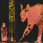 Diagonal Stabwound Intervals (Demo MMXXIV)