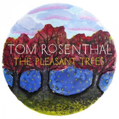 It's Ok by Tom Rosenthal