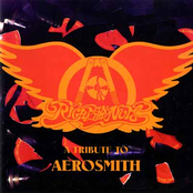 Right In The Nuts: A Tribute To Aerosmith