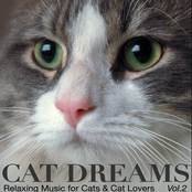 CAT DREAMS - Relaxing Music for Cats & Cat lovers Vol.2