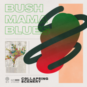 Collapsing Scenery: Bush Mama Blues