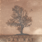 Dan May: Roots and Wings