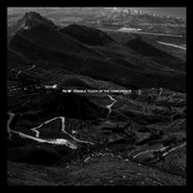 Fragile Touch Of The Coincidence