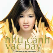 Như Cánh Vạc Bay