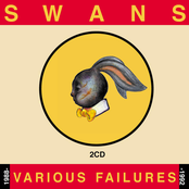 Black Eyed Dog by Swans