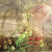 Molecular Knot Phase One