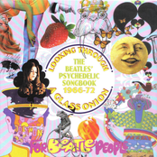 Looking Through a Glass Onion: The Beatles Psychedelic Songbook 1966-72