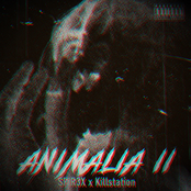 ANIMALIA II
