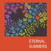 Lightswitch by Eternal Summers
