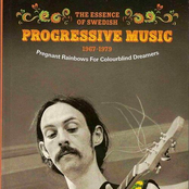 The Essence of Swedish Progressive Music 1967-1979