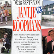 De 28 Beste Van - Vol. 1