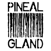 Pineal Gland