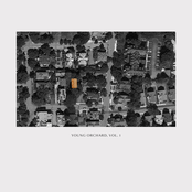 Young Orchard, Vol. 1