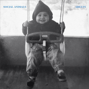 Social Animals: Adults