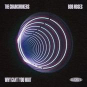 Why Can't You Wait - Single