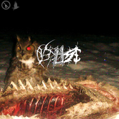 The Crow Beckons Vol. 1