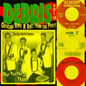 Debris Vol. 26 (Obscure Rock 'N' Roll from the Past!)