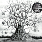 Meet Me In The Afterlife [Album]