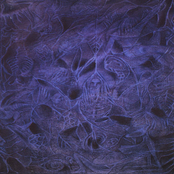 Damad/Meatjack Split