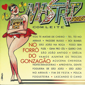 NO FORRÓ DO GONZAGÃO