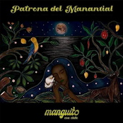 Patrona del Manantial