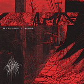 Is This Loss? / Weight