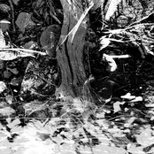 conqrete surroundings