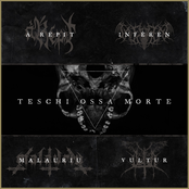 Teschi | Ossa | Morte