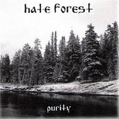 The Gates by Hate Forest