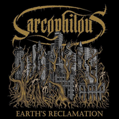Earth's Reclamation