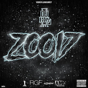ZOO17