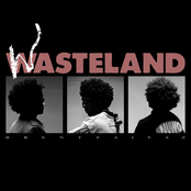 Wasteland Album Picture