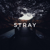 stray