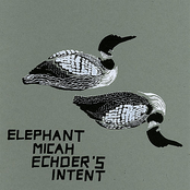 Ambiguous Instincts by Elephant Micah